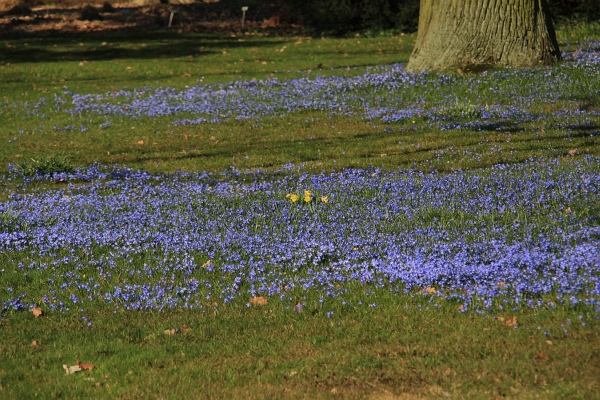 Fruehling   080.jpg